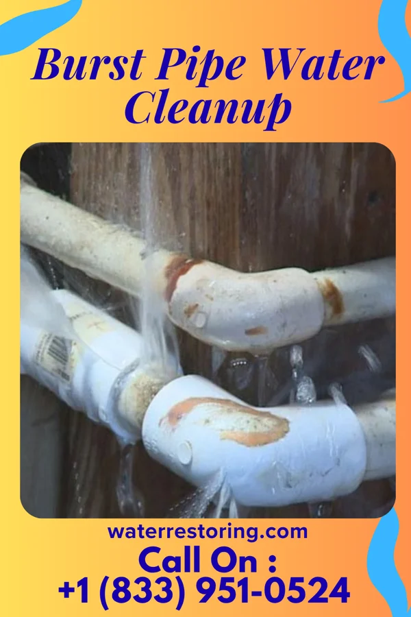 Burst Pipe Water Cleanup in West Farmington, OH