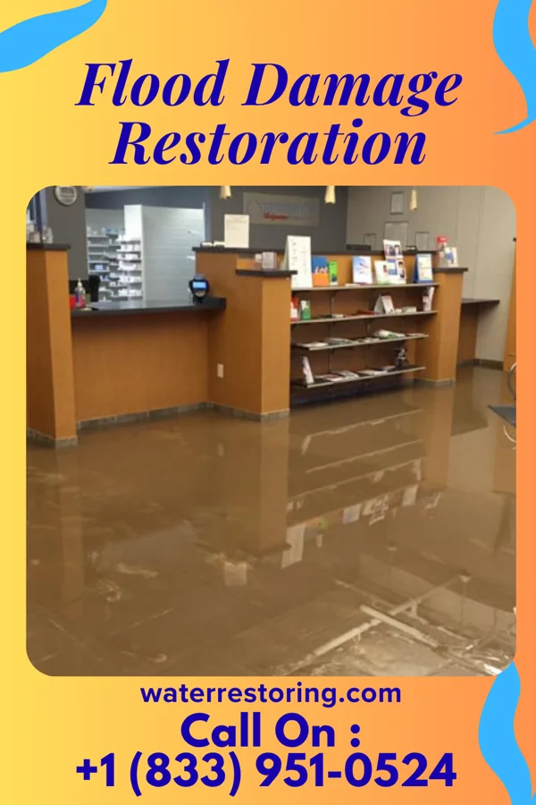 Flood Damage Restoration in West Farmington, OH